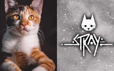 Review: Stray Is a Purr-Ty Game About a Cat in a Sci-Fi World