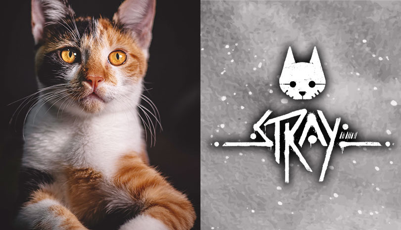 Review: Stray Is a Purr-Ty Game About a Cat in a Sci-Fi World