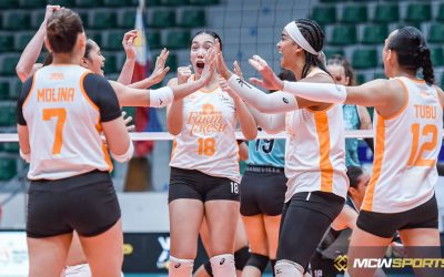 The First Eye Knockout Test for Rising Confidence in Farm Fresh Foxies